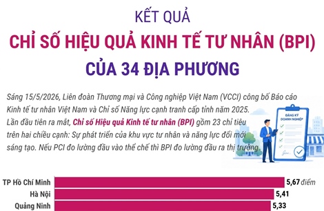 Kết quả Chỉ số Hiệu quả Kinh tế tư nhân năm 2025 của 34 địa phương