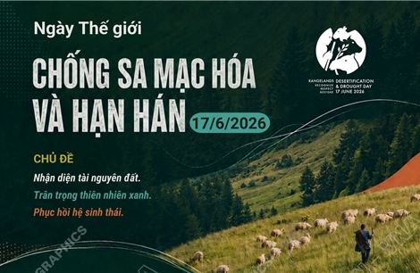 Ngày Thế giới chống sa mạc hóa và hạn hán 17/6/2026: Nhận diện, trân trọng và phục hồi
