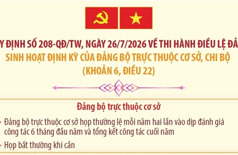 Quy định 208-QĐ/TW: Sinh hoạt định kỳ của đảng bộ trực thuộc cơ sở, chi bộ