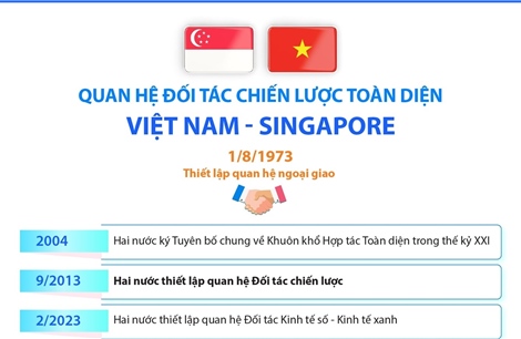 Quan hệ Đối tác chiến lược toàn diện Việt Nam - Singapore