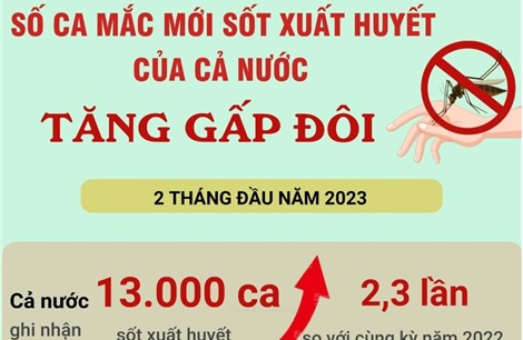 Số ca mắc mới sốt xuất huyết của cả nước tăng gấp đôi