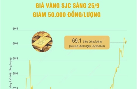 Sáng 25/9, giá vàng SJC giảm 50.000 đồng/lượng