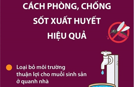 Cách phòng, chống sốt xuất huyết hiệu quả