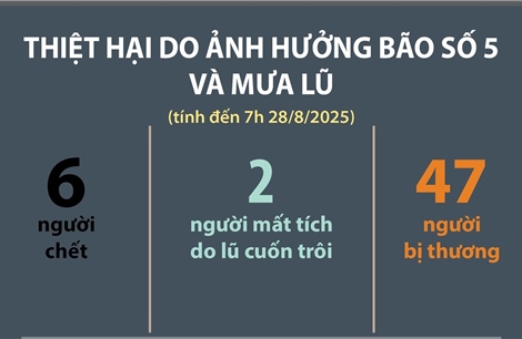 Thiệt hại do ảnh hưởng bão số 5 và mưa lũ