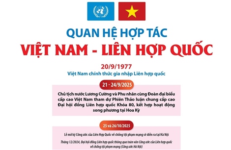 Quan hệ hợp tác Việt Nam - Liên hợp quốc