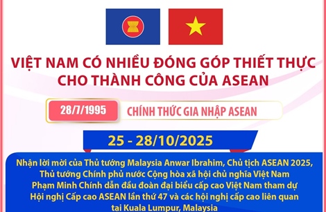 Việt Nam có nhiều đóng góp thiết thực cho thành công của ASEAN