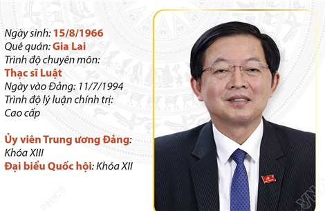 Phó Thủ tướng Chính phủ Hồ Quốc Dũng