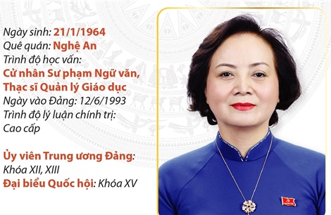 Phó Thủ tướng Chính phủ Phạm Thị Thanh Trà