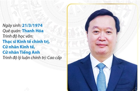 Phó Bí thư Thành ủy, Chủ tịch UBND thành phố Hà Nội Nguyễn Đức Trung