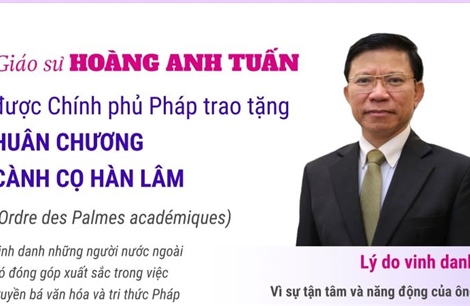 Giáo sư Hoàng Anh Tuấn nhận Huân chương Cành cọ Hàn lâm của Pháp