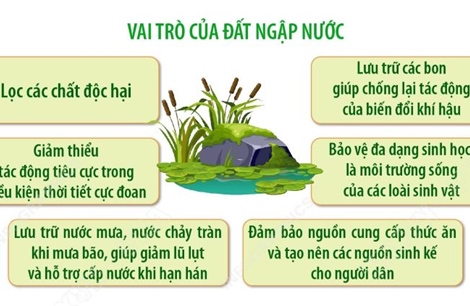 Đất ngập nước và tri thức truyền thống: Tôn vinh di sản văn hóa