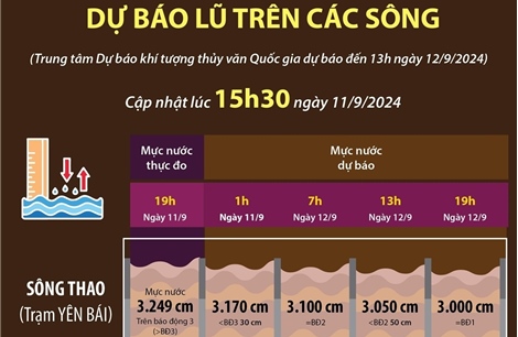 Dự báo lũ trên các sông (bản tin 21h ngày 11/9) 