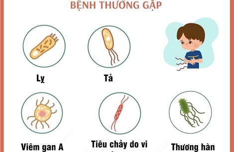 Phòng chống bệnh lây truyền qua đường tiêu hóa