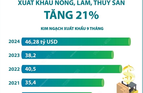 9 tháng năm 2024: Xuất khẩu nông, lâm, thủy sản tăng 21%