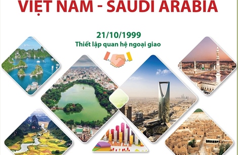 Thúc đẩy quan hệ hợp tác Việt Nam - Saudi Arabia