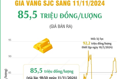 Vàng SJC sáng 11/11/2024 có giá 85,5 triệu đồng/lượng