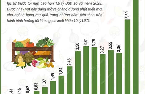 Dự báo năm 2024, xuất khẩu rau quả đạt kỷ lục hơn 7,2 tỷ USD