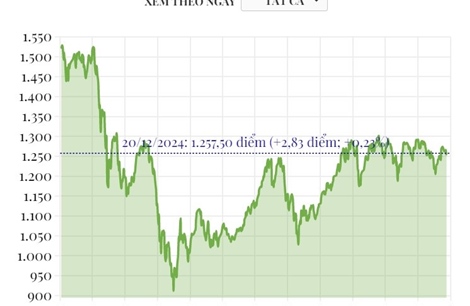 Phiên 20/12/2024: VN-Index tăng gần 3 điểm