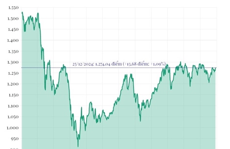 Phiên 25/12/2024: VN-Index tăng gần 14 điểm