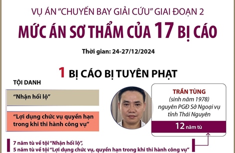 Vụ án &#39;chuyến bay giải cứu&#39; giai đoạn 2: Mức án sơ thẩm của 17 bị cáo