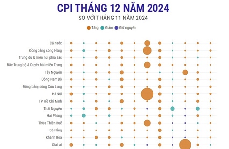 CPI tháng 12/2024 tăng 0,29%