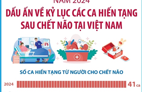 Dấu ấn về kỷ lục các ca hiến tạng sau chết não tại Việt Nam