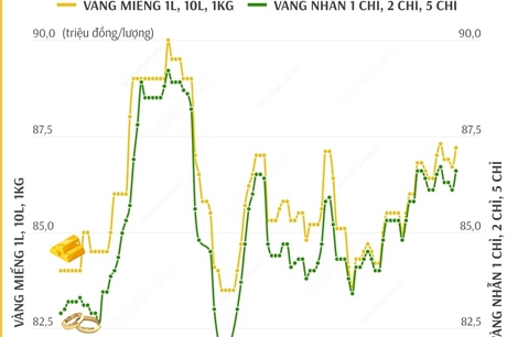 Sáng 21/1, vàng miếng tăng trên 87 đồng/lượng