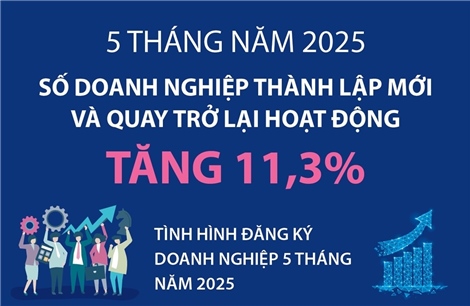 5 tháng năm 2025, số doanh nghiệp thành lập mới và quay trở lại hoạt động tăng 11,3%