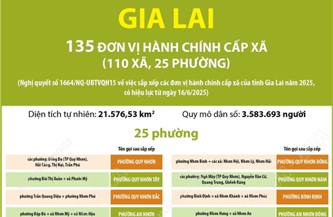 Thông tin chi tiết sắp xếp các đơn vị hành chính cấp xã của tỉnh Gia Lai