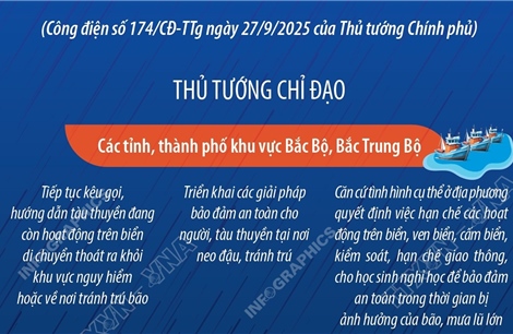 Quyết liệt phòng, chống Bão số 10 (bão BUALOI): Thành lập Ban chỉ đạo tiền phương tại các tỉnh có tâm bão đi qua để ứng phó bão, mưa lũ