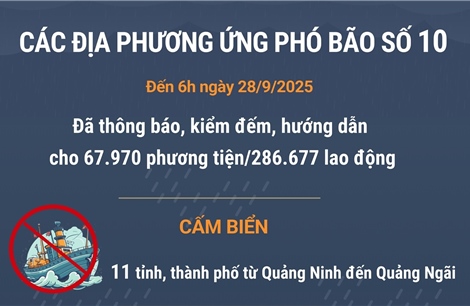 Các địa phương ứng phó với bão số 10