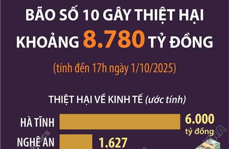 Bão số 10 gây thiệt hại khoảng 8.780 tỷ đồng