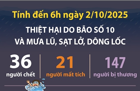 Thiệt hại do bão số 10 và mưa lũ, sạt lở, dông lốc