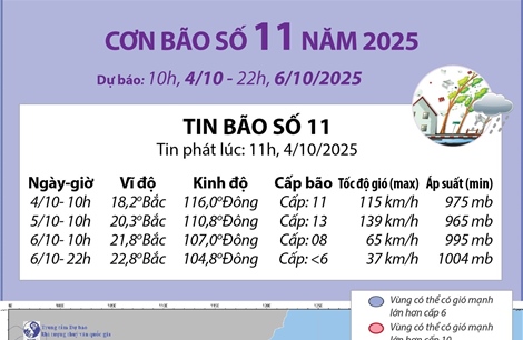  Đường đi của bão số 11 năm 2025