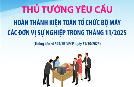 Thủ tướng yêu cầu kiện toàn tổ chức bộ máy các đơn vị sự nghiệp trong tháng 11/2025