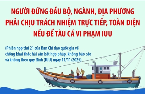 Người đứng đầu bộ, ngành, địa phương phải chịu trách nhiệm trực tiếp, toàn diện nếu để tàu cá vi phạm IUU