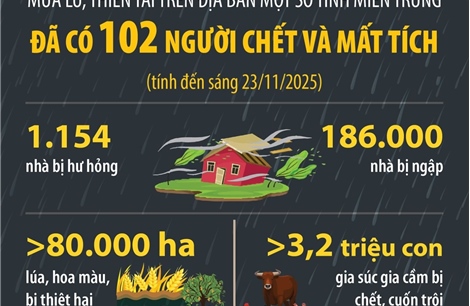 Đã có 102 người chết và mất tích (tính đến sáng 23/11/2025) trong mưa lũ