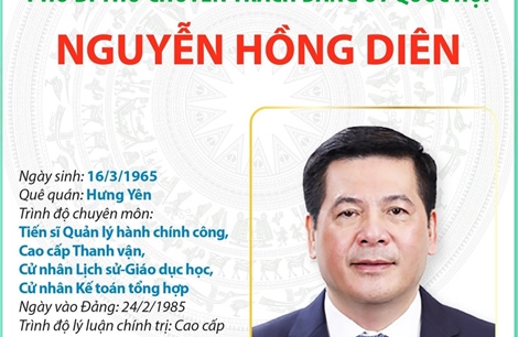 Ủy viên Trung ương Đảng, Phó Bí thư chuyên trách Đảng ủy Quốc hội Nguyễn Hồng Diên