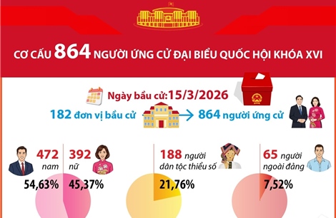 Thống kê cơ cấu 864 người ứng cử Đại biểu Quốc hội khóa XVI