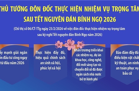 Thủ tướng Chính phủ đôn đốc thực hiện nhiệm vụ trọng tâm sau Tết