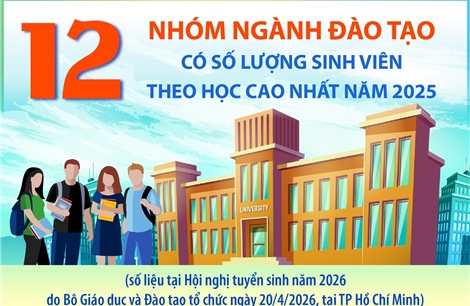 12 nhóm ngành đào tạo có số lượng sinh viên theo học cao nhất năm 2025