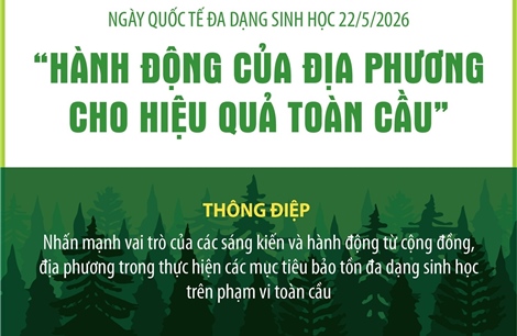 Ngày Quốc tế đa dạng sinh học 22/5/2026: 'Hành động của địa phương cho hiệu quả toàn cầu'