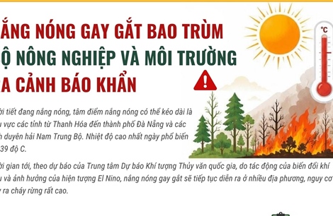 Cảnh báo khẩn về cháy rừng khi nắng nóng gay gắt 