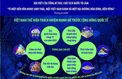 Việt Nam thể hiện trách nhiệm mạnh mẽ trước cộng đồng quốc tế
