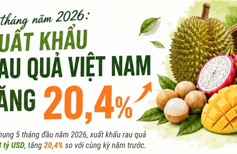 5 tháng năm 2026: Xuất khẩu rau quả tăng 20,4%