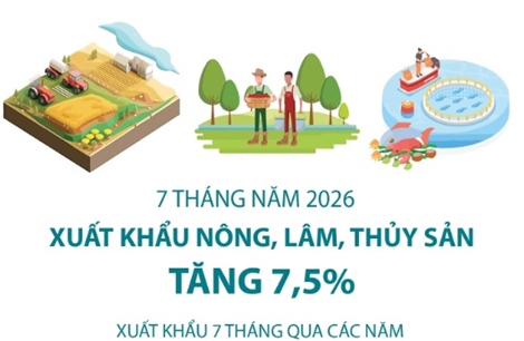 7 tháng năm 2026: Xuất khẩu nông, lâm, thủy sản tăng 7,5%