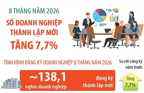 8 tháng năm 2026: Số doanh nghiệp thành lập mới tăng 7,7%