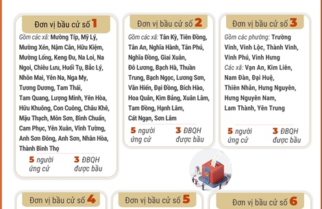 6 đơn vị bầu cử của tỉnh Nghệ An