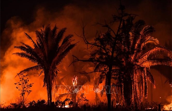 Cháy rừng hoành hành ở vùng đất ngập nước nhất thế giới