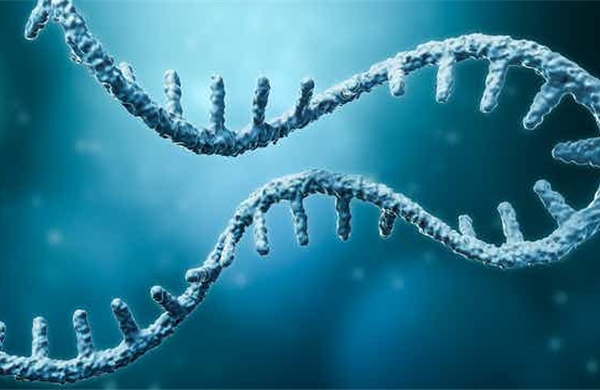 Hy vọng điều trị ung thư nhờ &#39;virus ẩn&#39; trong DNA người
